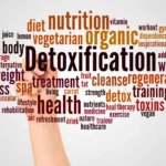 Importance of Detoxification: Your First Step to Lasting Recovery