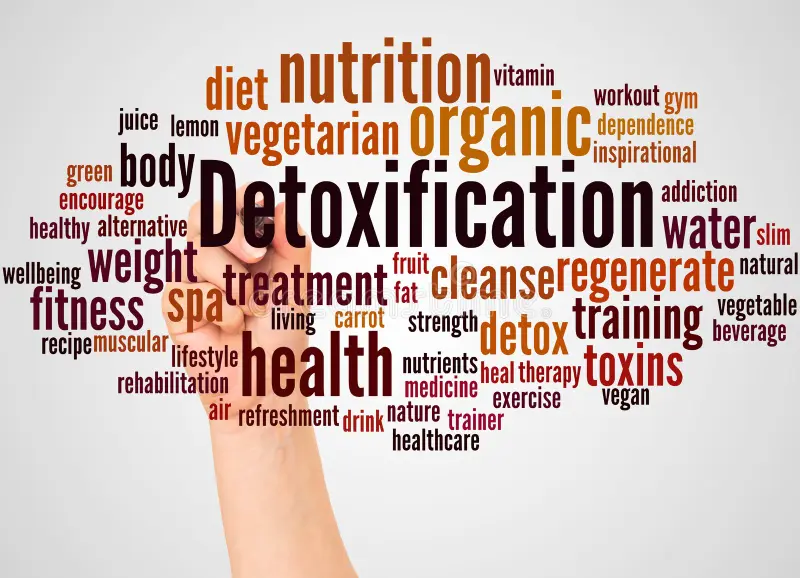Read more about the article Importance of Detoxification: Your First Step to Lasting Recovery