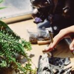 The Link Between Cannabis Addiction and Anxiety or Depression – Best Addiction Treatment Center in Islamabad