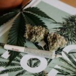 Why Teenagers Are at Higher Risk of Cannabis Addiction: A Parent’s Comprehensive Guide – drug rehabilitation center in rawalpindi